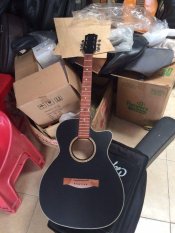 Đàn Guitar Acoustic MT700-02