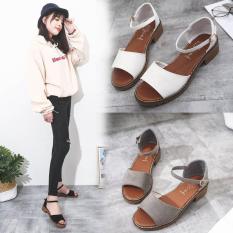GIÀY SANDAL NỮ QUAI NGANG GÓT VUÔNG CAO 3,5CM – MSP 2923
