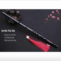 Sáo trúc Trần tình – sáo trúc chuẩn âm cho người mới tập