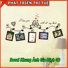 Decal Dán Tường Khung Ảnh Gia Đình 3D Trang Trí Hình Chim Tình Yêu