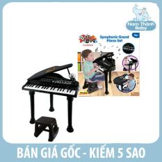 (Sỉ = lẻ) Đàn piano cổ điển kèm mic
