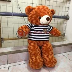 Gấu bông Teddy khổ vải 1m màu Cam