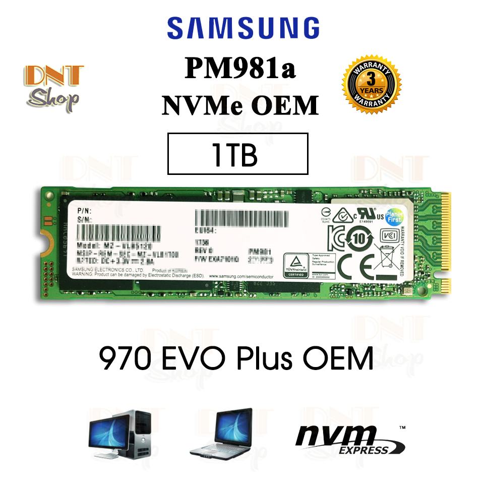 Ổ cứng SSD Samsung NVMe PM981a M.2 PCIe Gen3 x4 256GB/512GB/1TB - OEM 970 EVO Plus