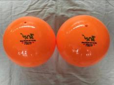 2 quả Bóng chuyền hơi Thăng Long 200g