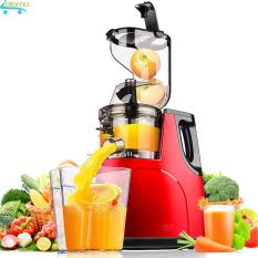 Máy ép hoa quả rau củ tốc độ chậm Hongxin RH-312 giữ nguyên dưỡng chất ban đầu