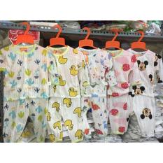 Combo 05 quần dài cotton giấy dài tay (Hoạ tiết giao ngẫu nhiên)