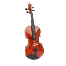 Đàn Violin Gỗ 4/4 Đủ Màu Full Phụ Kiện