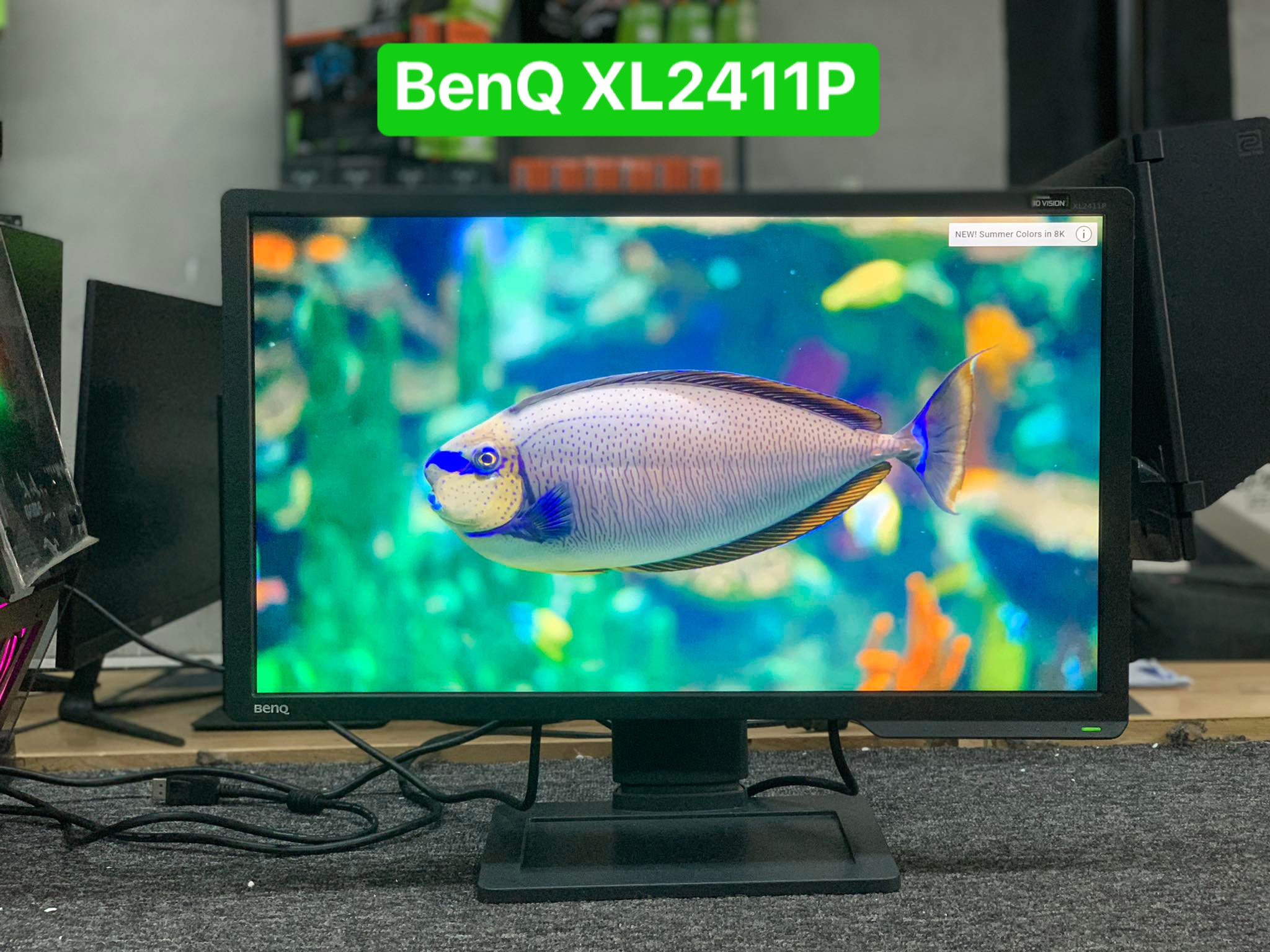 Màn hình BenQ XL2411P - BHH T5 - 2022 ( Full HD / Phẳng / 144hz / TN )