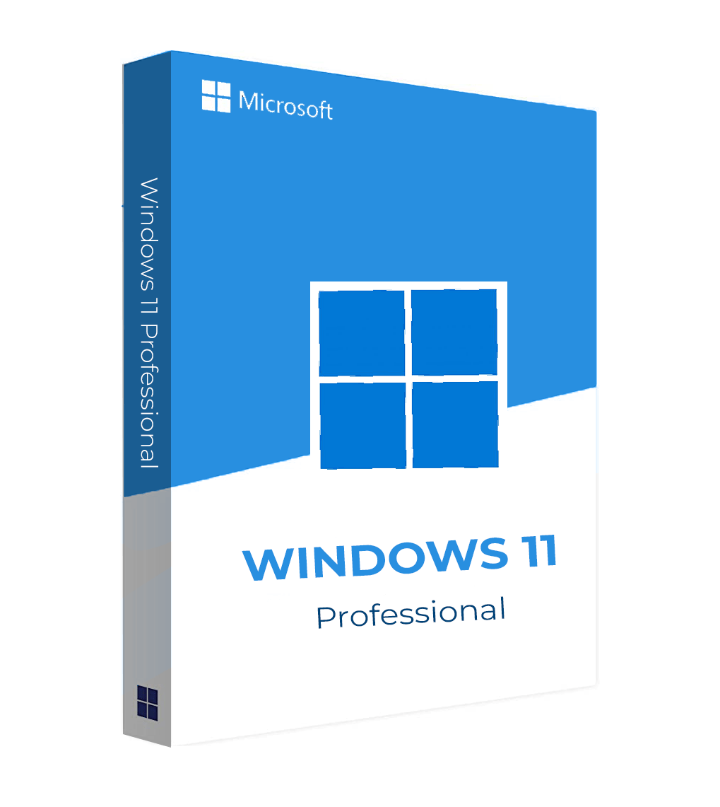 Windows 11 Professional CD Key