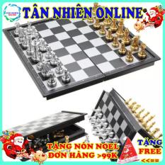 Bàn cờ vua hít nam châm trò chơi giải trí phát triển trí tuệ giá rẻ