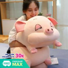 Gấu bông cute size to 70cm giá rẻ hình chú HEO PHÊ CẦN mắt híp đáng yêu dùng làm quà tặng, gối ôm hoặc dùng để trạng trí trong nhà, hình ảnh thật, được miễn phí ship toàn quốc, được đổi trả hàng nếu không đúng như đã đăng bán