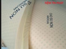 Nệm cao su non American 1m6x2mx10cm