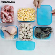 Bộ Hộp Trữ Đông 650ml 6 Hộp Tupperware