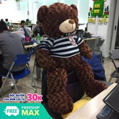 Gấu Bông Teddy Khổ vải 1m cao 80cm – Quà tặng dễ thương